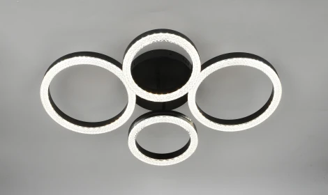 Потолочная люстра светодиодная с пультом кольцо Rivoli Flora 6191-201 (регулировка яркости, 220V, кольцо)