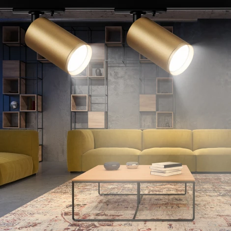 Трековый светильник ЭРА TR39-GU10 MG (220V, круглые)