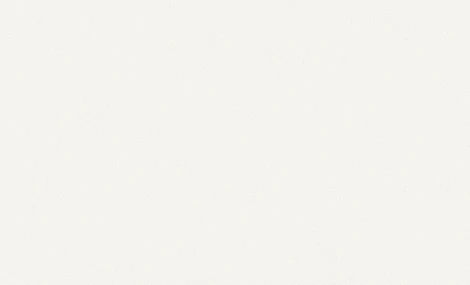 Обои виниловые Erismann Bolero 60009-02 10,05 x 1,06 м