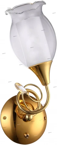 Бра Arte Lamp Mughetto A9289AP-1GO