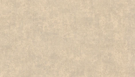 Обои виниловые Marburg Padua Classic 57311 10,05 x 1,06 м