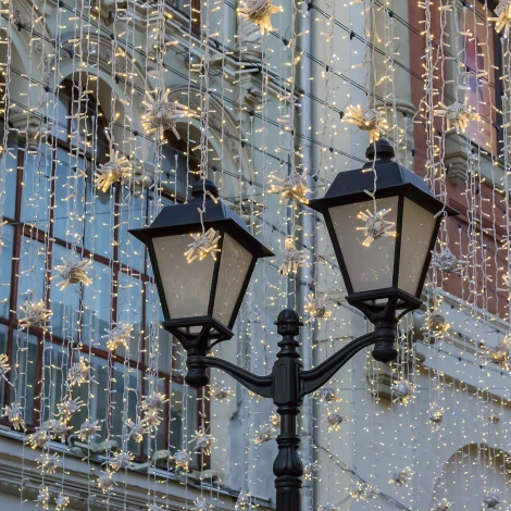 Гирлянда Eurosvet 400-101 теплый белый