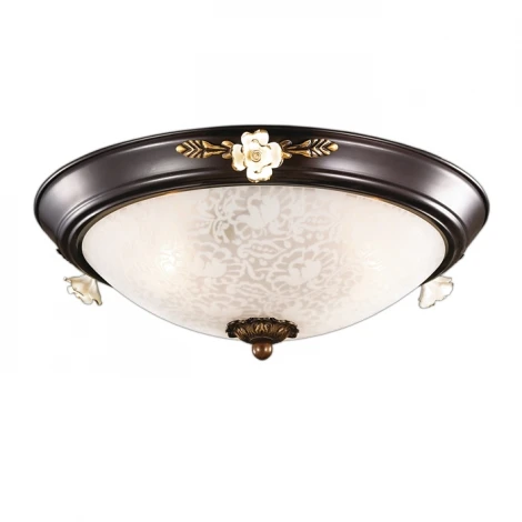 Настенно-потолочный светильник Odeon Light Bone 2693/3C