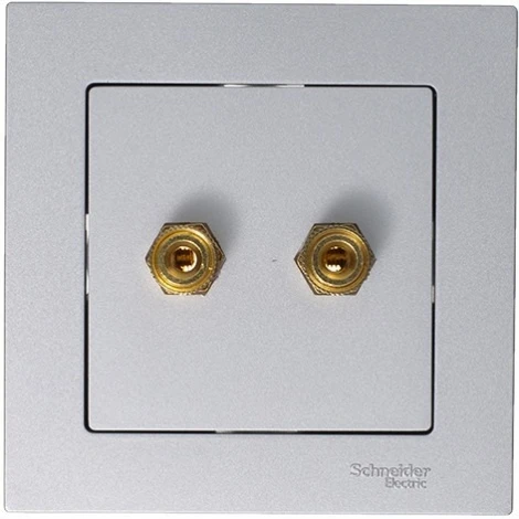 Акустическая розетка встраиваемая двойная (алюминий) Systeme Electric AtlasDesign ATN000387