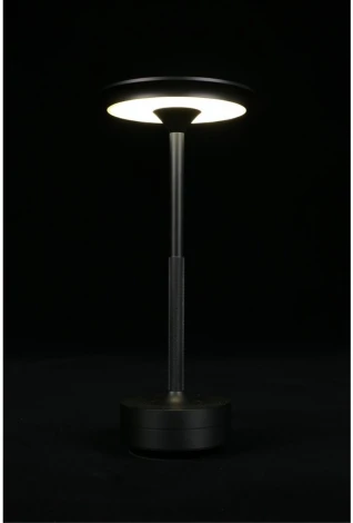 Настольная лампа светодиодная Aployt Markel APL.064.24.05 (220V)