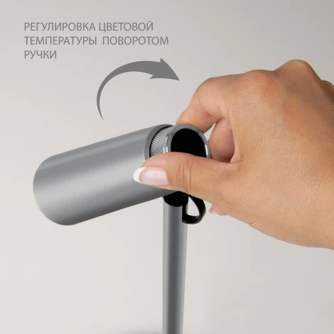 Интерьерная настольная лампа светодиодная Elektrostandard Joel TL70190 a048901