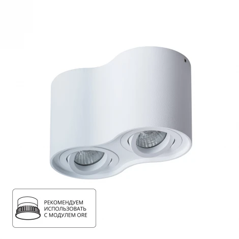 Накладной точечный светильник Arte Lamp Falcon A5645PL-2WH (220V)