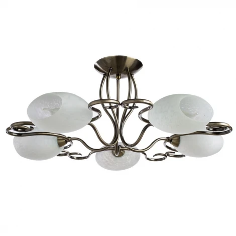 Потолочная люстра Arte Lamp Selection A6200PL-5AB