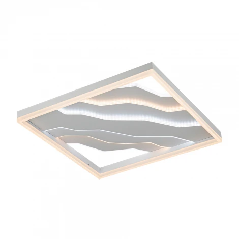 Потолочный светильник светодиодный с пультом с регулировкой цветовой температуры и яркости LED4U LED4U L1054-500 WH