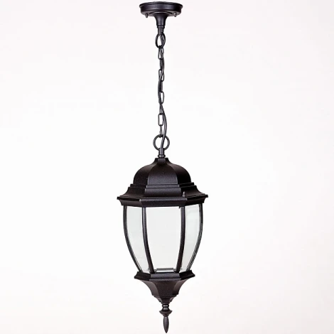 Уличный светильник подвесной Oasis Light 91205L Bl (220V, на цепи, IP44)
