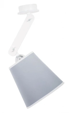 Потолочная люстра Дубравия Ким 240-11-21