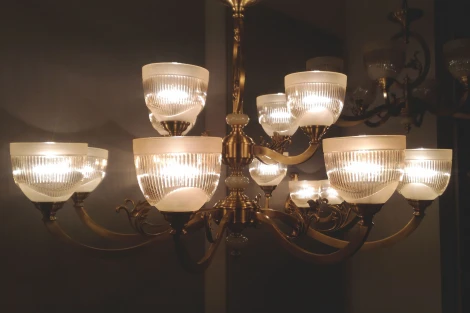 Подвесная люстра Odeon Light Piemont 3998/12