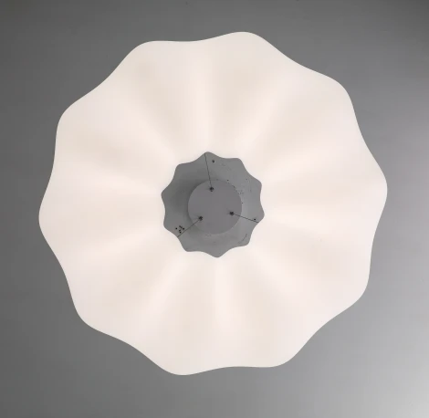 Подвесной светильник с пультом Zortes Soft ZRS.1119.02 (LED, 220V, на тросе, цветы)