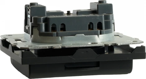 Розетка без заземления с защитной крышкой (черный) Stekker Эмили 49852