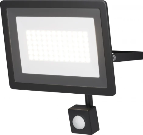 Прожектор уличный светодиодный с датчиком движения Maytoni Flood FL001-L50B6KSR (220V, IP65)