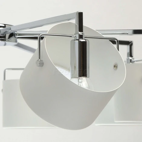 Потолочная люстра MW-Light Сайрус 721010308