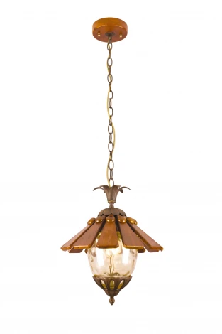 Подвесной светильник Arte Lamp Catena A6991SP-1BR