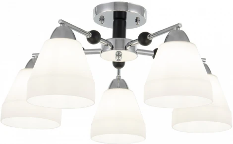 Потолочная люстра на штанге Arte Milano Napoli 325119/5 CR+BK (220V)