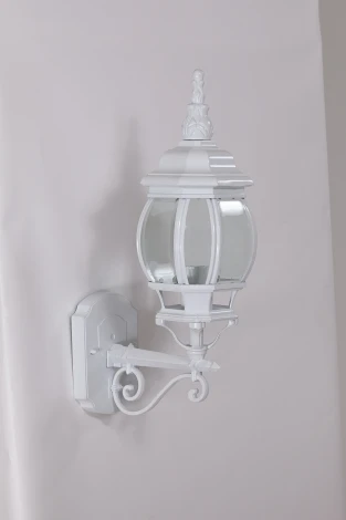 Настенный фонарь уличный Oasis Light America S W 83401S