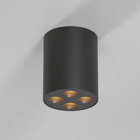 Светильник потолочный светодиодный Elektrostandard Points 25111/LED черный (220V, круглые)