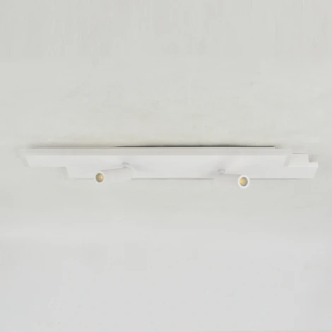 Настенно-потолочный светодиодный светильник Escada 20047Led 20047SMA/02LED WH 37Вт, металл/акрил, белый