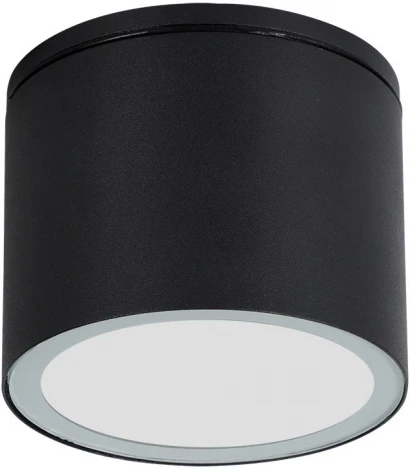 Потолочный светильник уличный Arte Lamp Piautos A1913PF-1BK