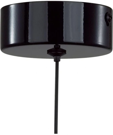 Подвесной светильник Lumion Globe 6568/6L LEDIO белый/черный, хром/металл, акрил 3000-6000K LED 6W 220V (сенсорный выключатель, на проводе)