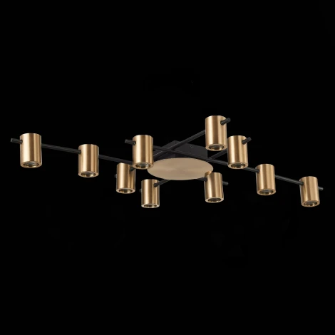 Потолочная люстра ST Luce Veroli SL1207.402.10 (220V)