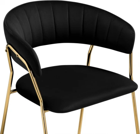 Стул на металлокаркасе Woodville Kamelia 1 black / gold