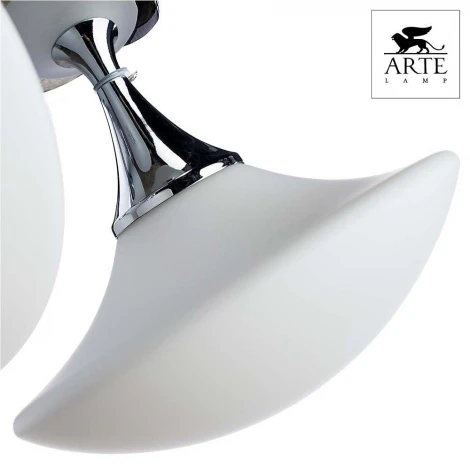 Потолочная люстра Arte Lamp Aqua-sfera A2550PL-3CC (220V, IP44)