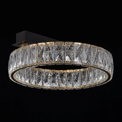 Потолочная люстра светодиодная Citilux Palant CL325142