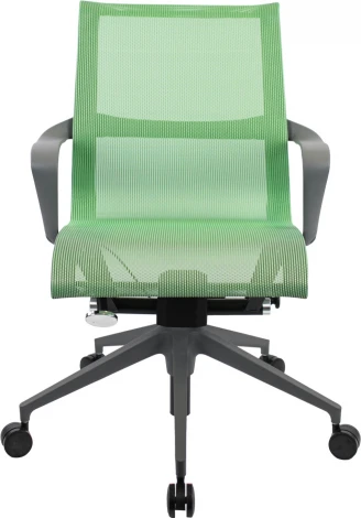 Компьютерное кресло Everprof Chicago Grey Сетка Зеленый