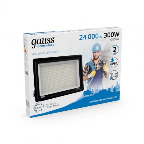 Прожектор уличный светодиодный Gauss GFD00301