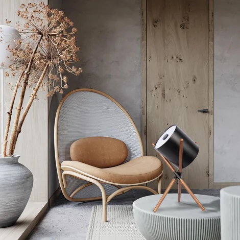 Настольная лампа Loft It Bobbin 10245T Black (220V, выключатель)