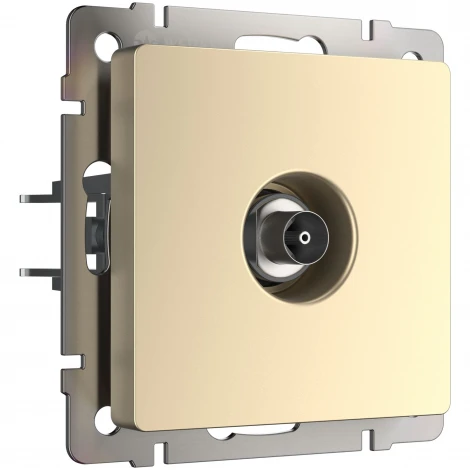 ТВ-розетка оконечная (шампань) Werkel W1183011 (a050856)