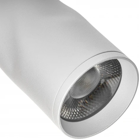 Трековый светильник однофазный 220V Ritter Artline 59704 3