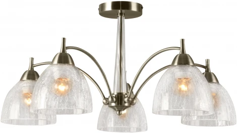 Потолочная люстра на штанге Rivoli Doreen 2079-305