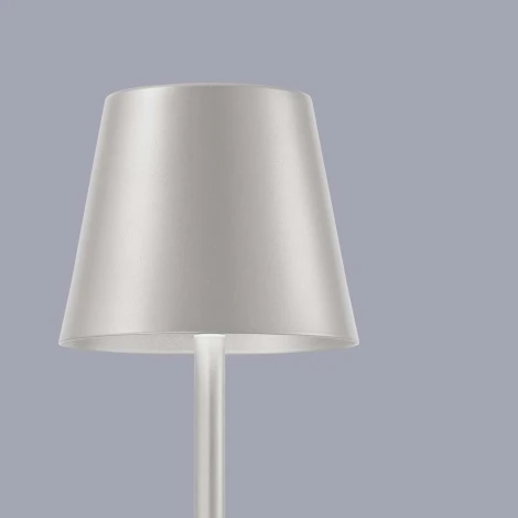 Настольная лампа с аккумулятором F-Promo Pyari 4617-1T (LED, 220V)