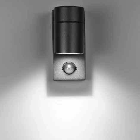 Настенный уличный светильник Arte Lamp A3322AL-1BK (220V, датчик движения, круглые, IP54)