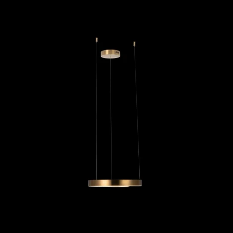 Подвесной светильник Loft IT Ring 10013S (LED, 220V, на тросе, кольцо)