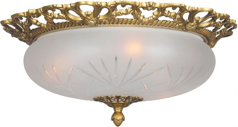 Потолочный светильник круглый Arti Lampadari Venezia E 1.13.46 AG (220V)