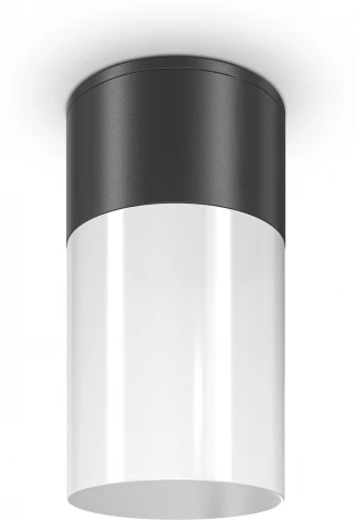 Уличный потолочный светильник Maytoni Willis O418CL-01B