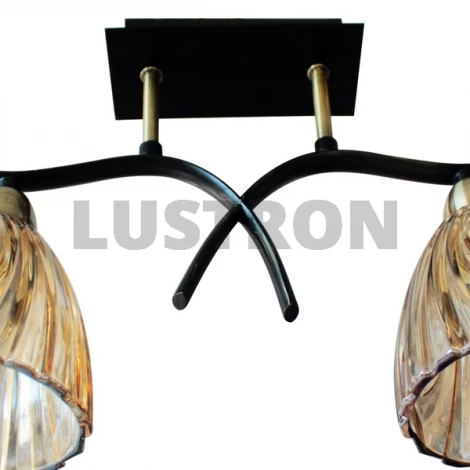 Потолочный светильник ST Luce SL315 SL315.302.02