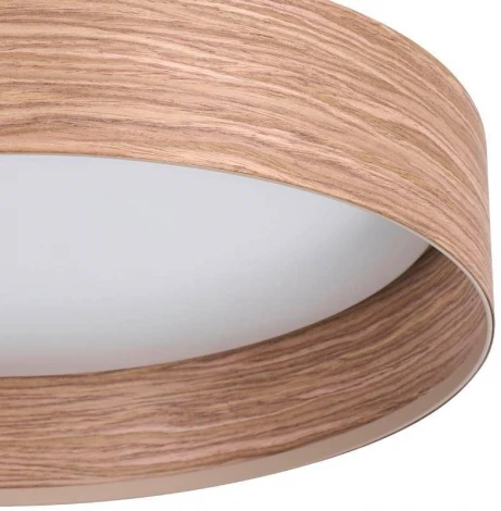 Потолочный светильник светодиодный Eglo LUPPINERIA 900463