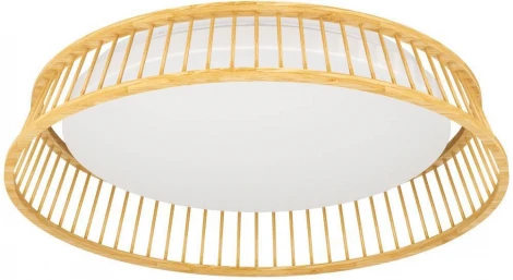 Потолочный светильник светодиодный Eglo LUPPINERIA 900797