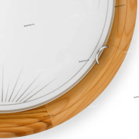 Настенно-потолочный светильник Toplight Wifa TL9144Y-02PN