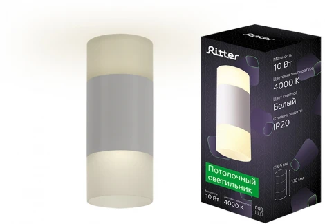 Накладной светильник Ritter Kassel 52063 4