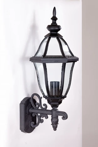 Настенный фонарь уличный Oasis Light Florida 89402