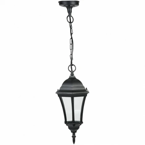 Уличный светильник подвесной Oasis Light 91305S Bl (220V, на цепи, IP44)
