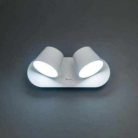 Спот Citilux Норман CL533320N